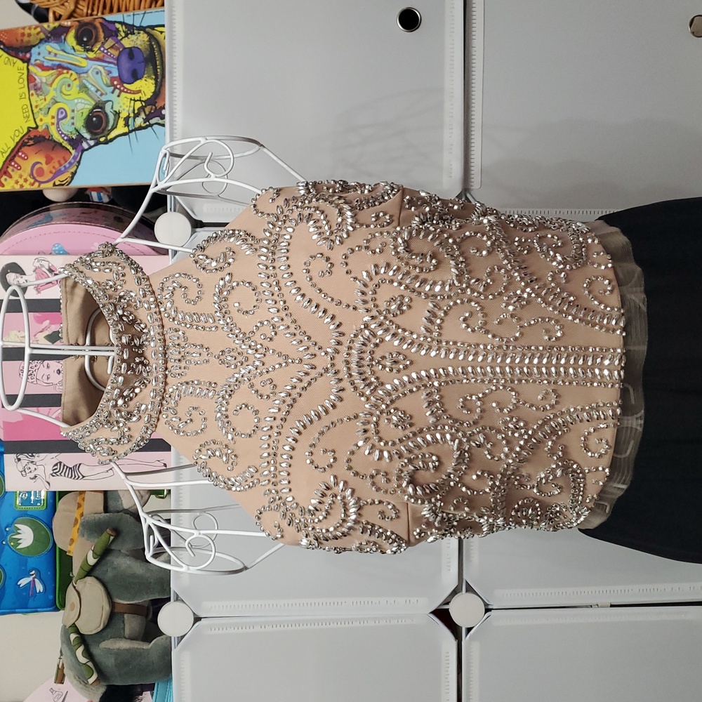 Cachet Beaded Gown Size 6 - Picture 2 of 11